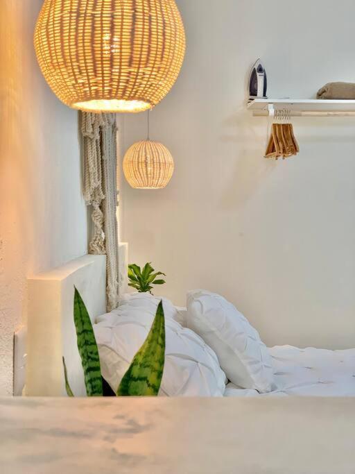Apartment Casa Anuiti Centrica Ubicacion. San José del Cabo